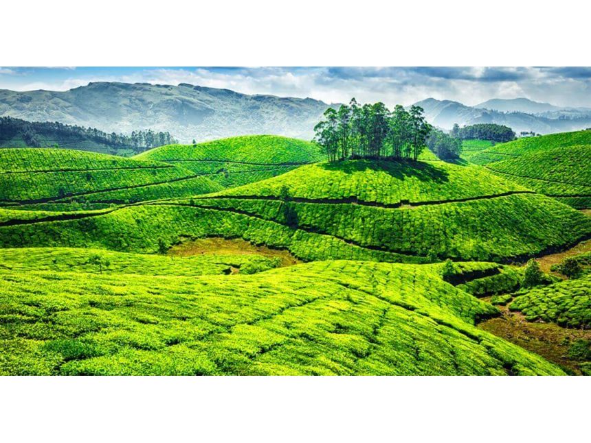 ეგზოტიკური სამხრეთ ინდოეთი