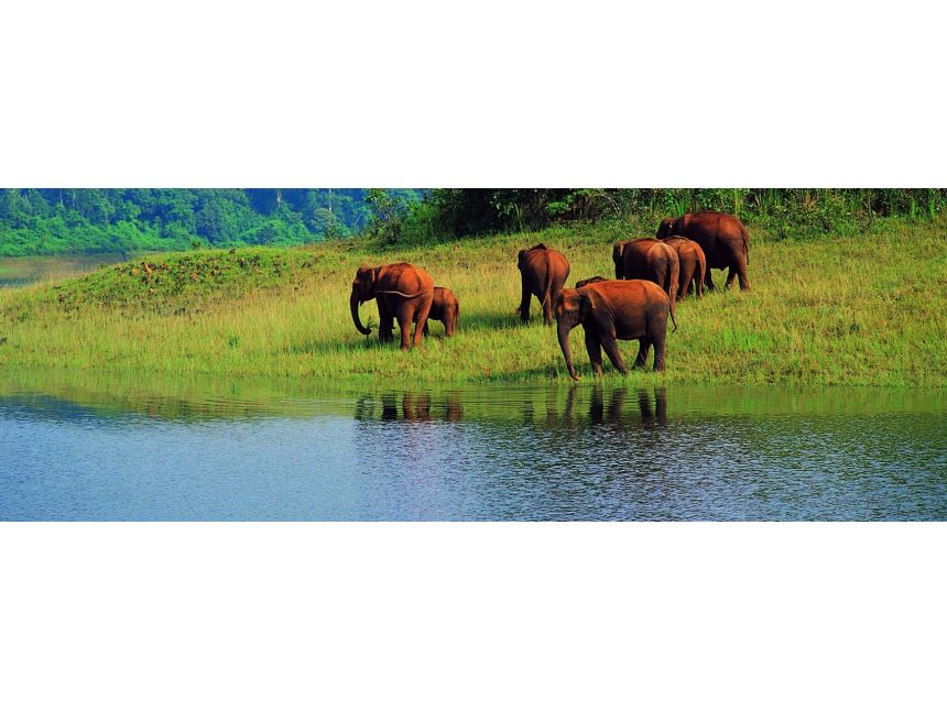 ეგზოტიკური სამხრეთ ინდოეთი