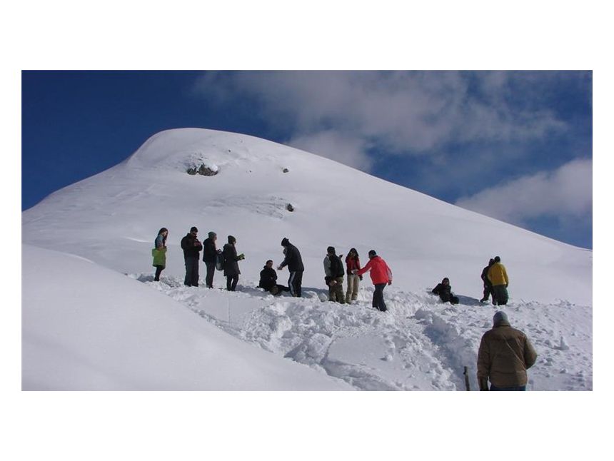 დეკემბერს თოვლიანი ლომისა