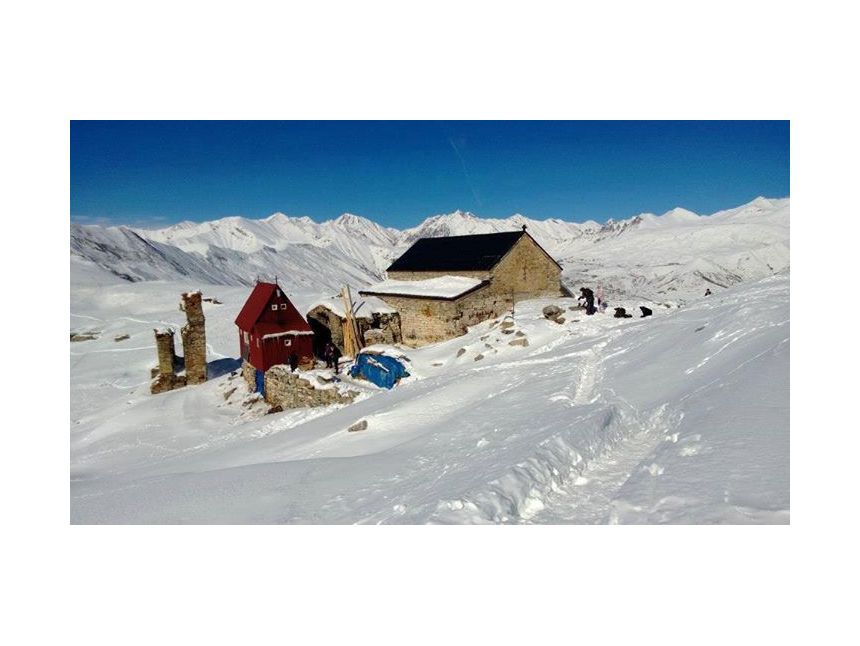 დეკემბერს თოვლიანი ლომისა