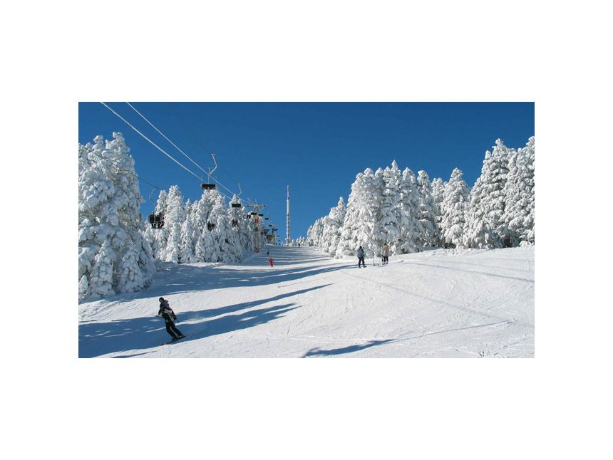 ერთი დღე ბაურიანში