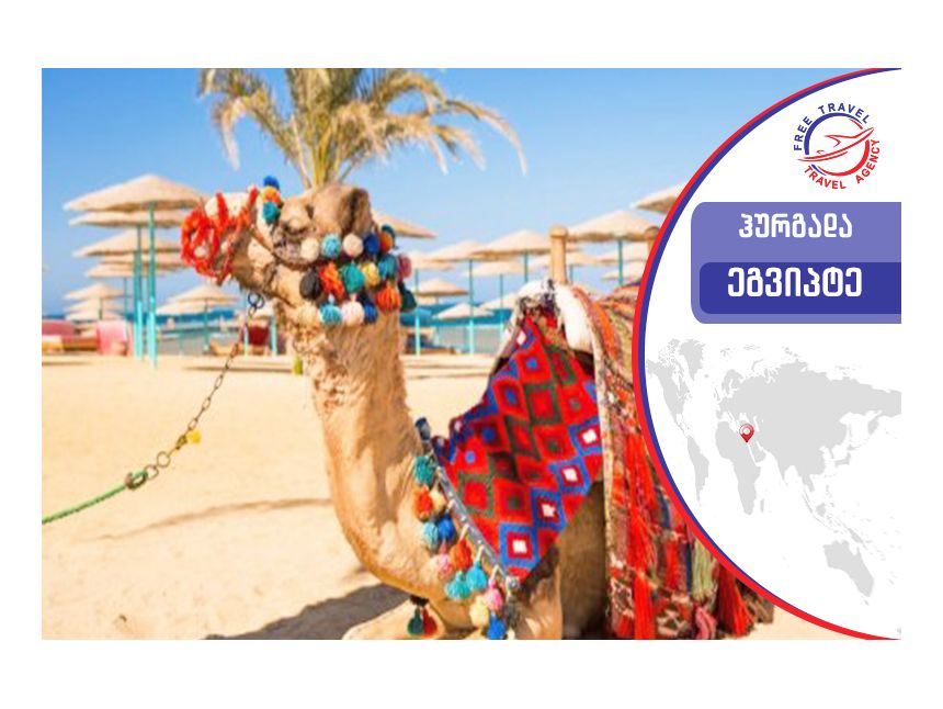 ტურები ეგვიპტეში ! დაისვენე Free Travel-თან ერთად !