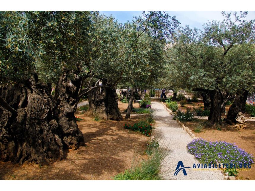 გთავაზობთ მოგზაურობას წმინდა მიწაზე