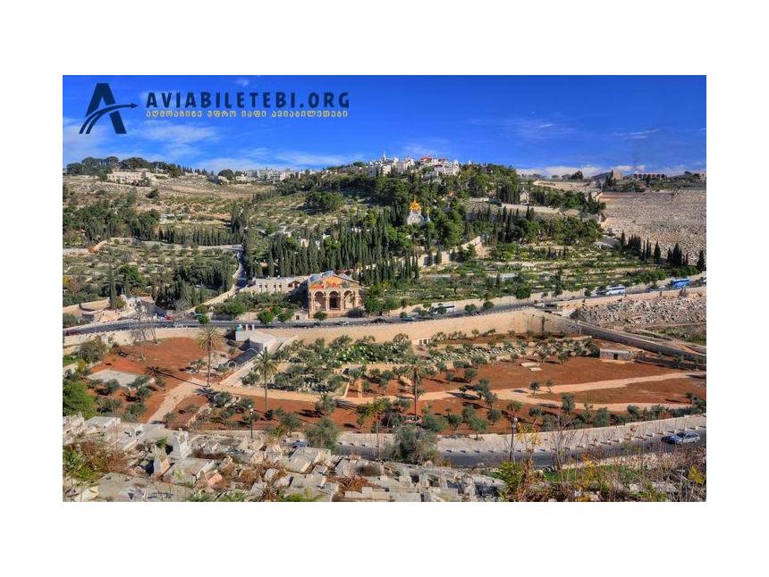 გთავაზობთ მოგზაურობას წმინდა მიწაზე