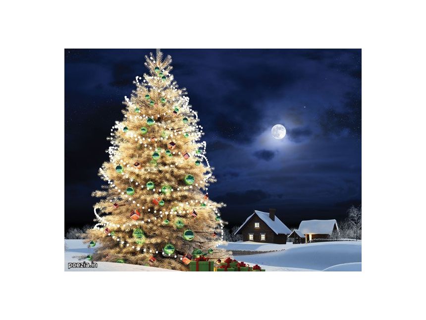 შეხვდით ახალ წელს სვანეთში