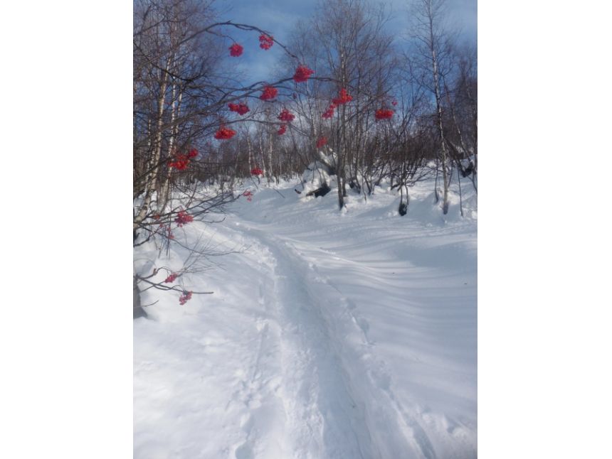 ახალი წელი სვანეთში დეკემბერი - იანვარი