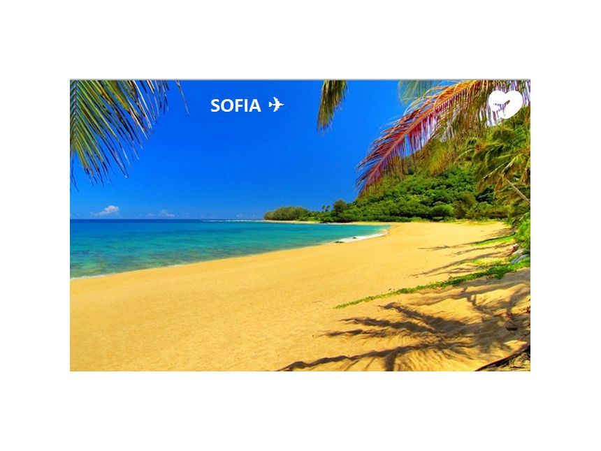 შეხვდი ახალ წელს ულამაზეს სოფიაში სულ რაღაც  ევროდ