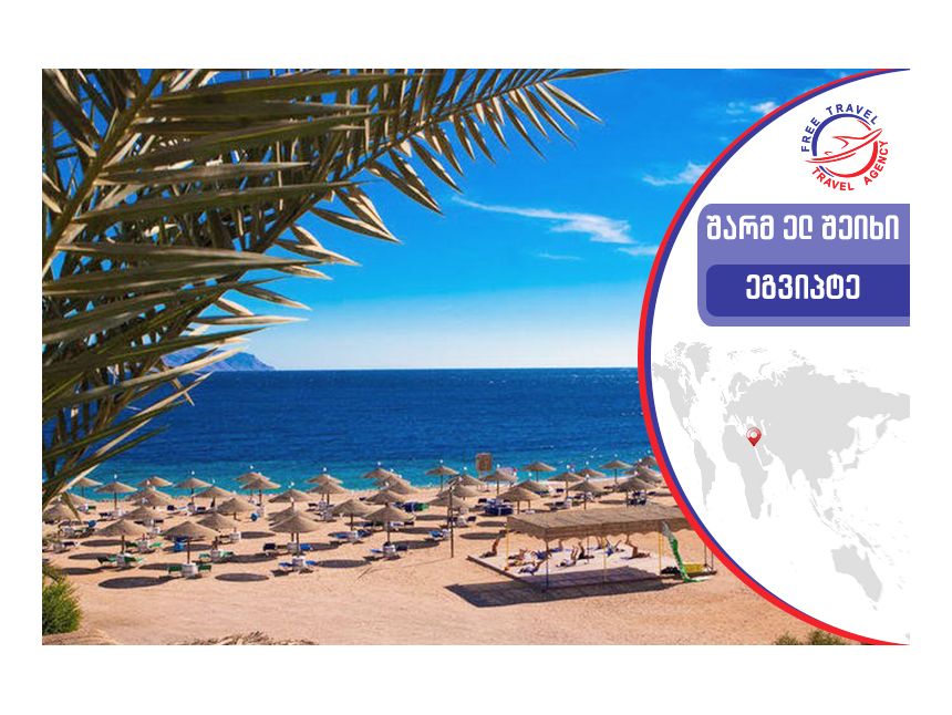 ტური ეგვიპტეში!