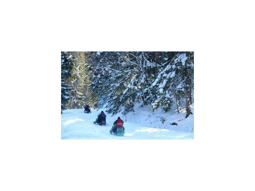 დასვენება ბაკურიანში