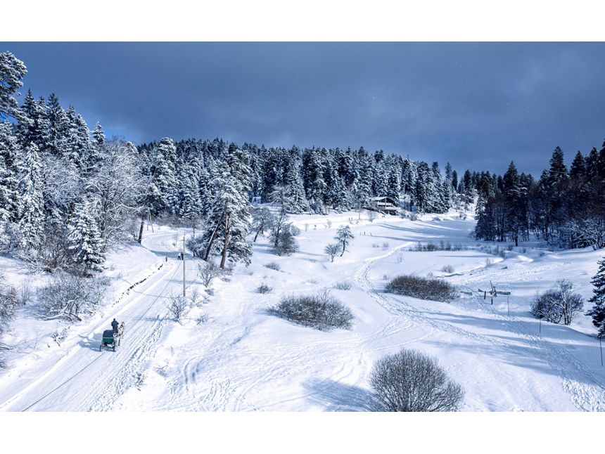 ბ ა კ უ რ ი ა ნ ი !  - დეკემბერი !