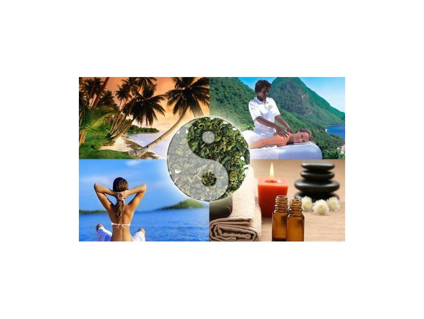 შეხვდი ახალ წელს თბილ და ეგზოტიკურ შრილანკაში