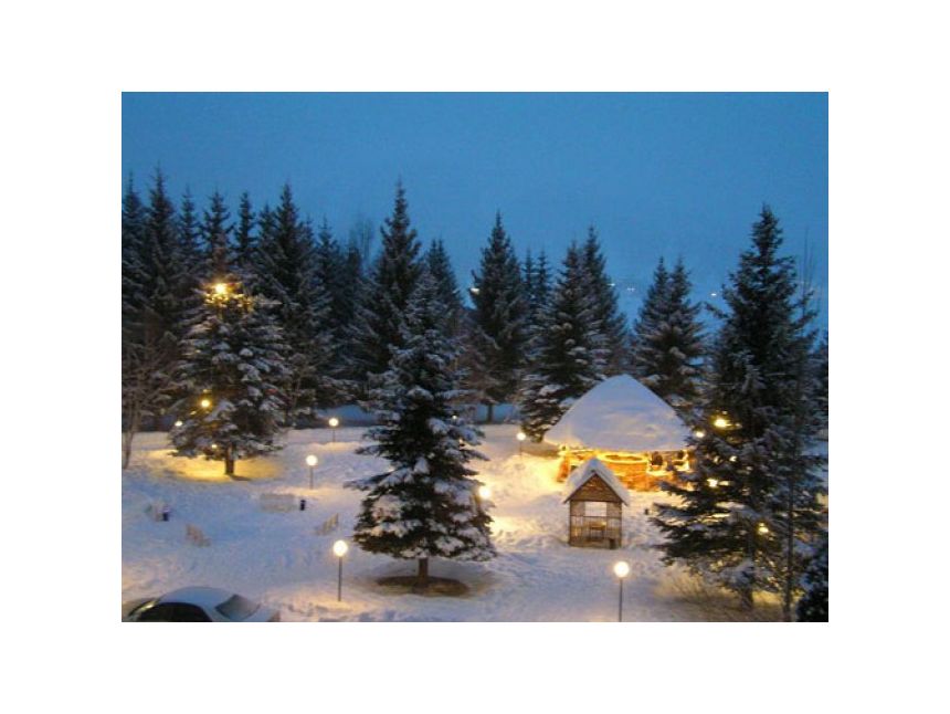 ბაკურიანი და გუდაური - დაიმუხტეთ შთაბეჭდილებებით