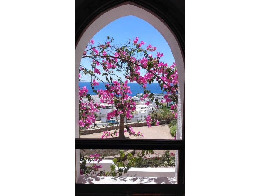 ნაადრევი ჯავშნები ნახევარკუნძულ ქალკიდიკზე  ევროდან ✌ ✌ ✌