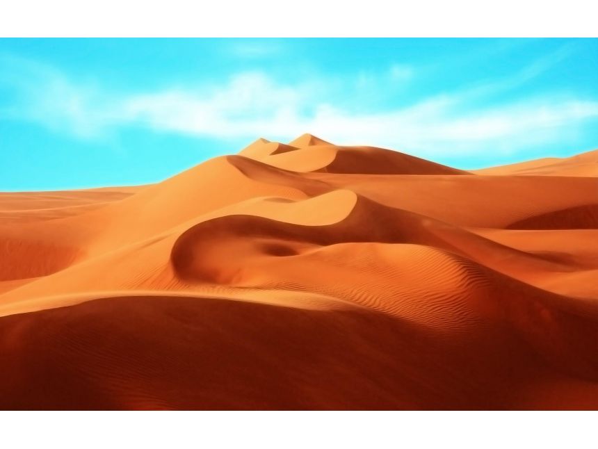 ნილოსის კრუიზი !