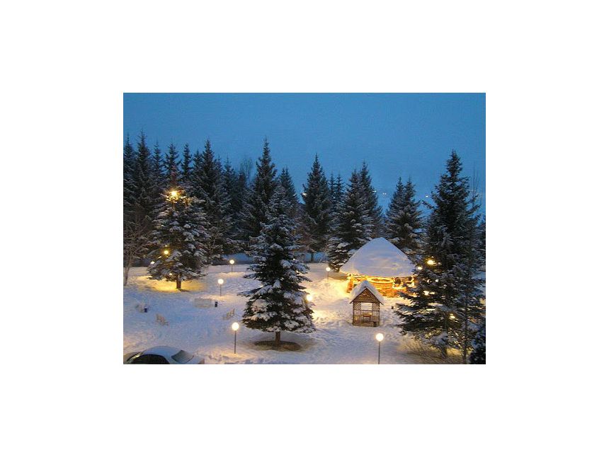 დღიანი ტური ბაკურიანში