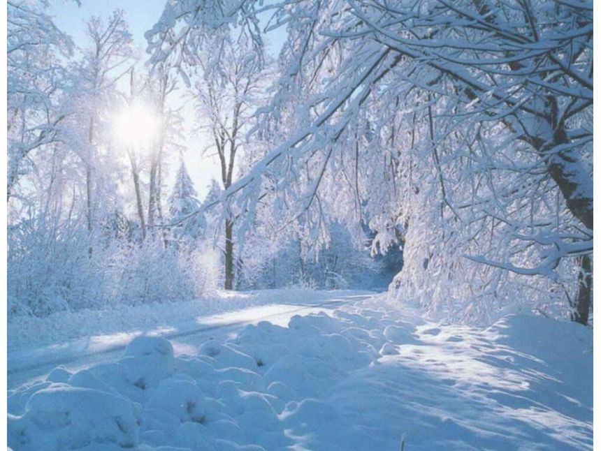 დღიანი ტური ბაკურიანში