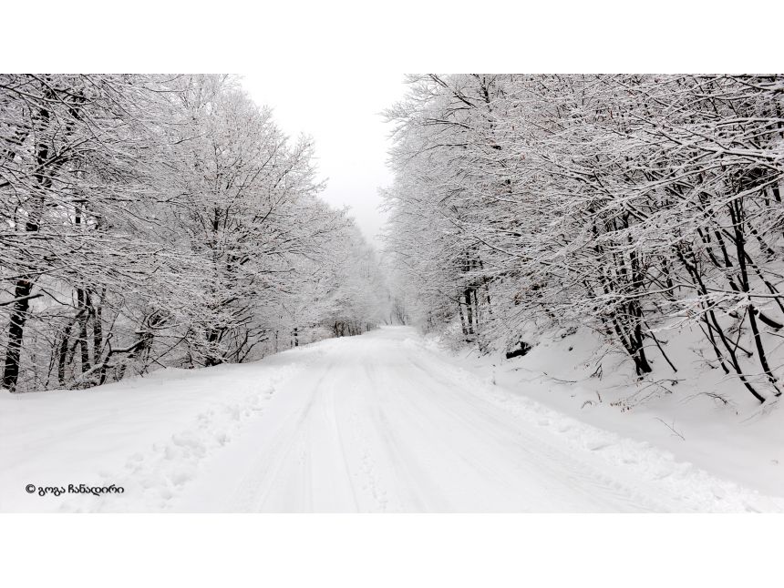 საბადურის ტყე  იანვარს (კვირა)