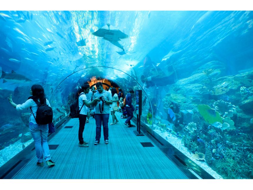 ტური დუბაიში !