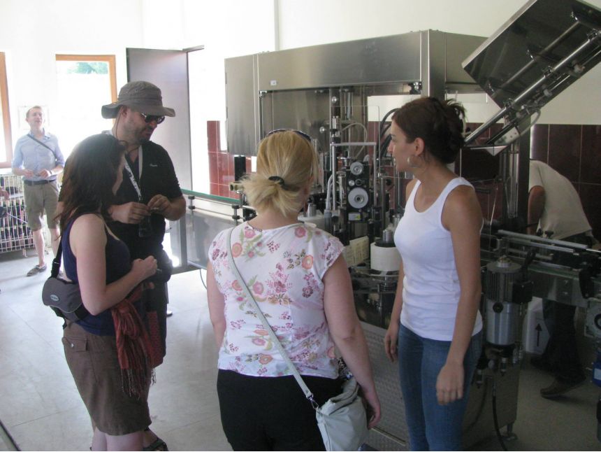 ტურები საქართველოში სტანდარტული და თქვენი გემოვნების გათვალისწინებით.