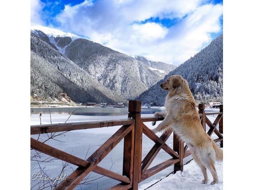 გაატარე ორი დაუვიწყარი დღე უზუნგოლის ტბაზე (- იანვარი)