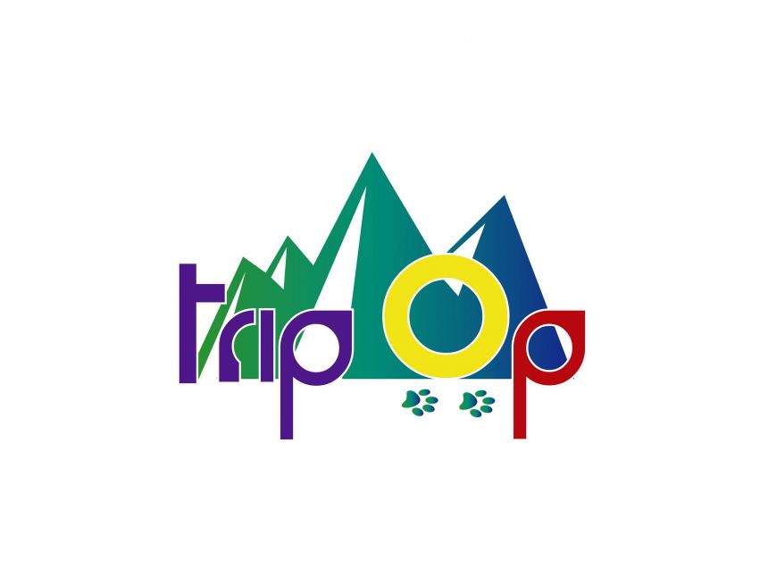 თოვლის დღე გუდაურში