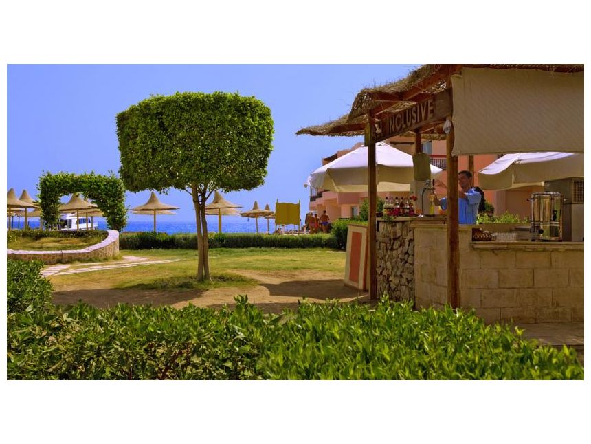 სრული პაკეტი ეგვიპტე დოლარი