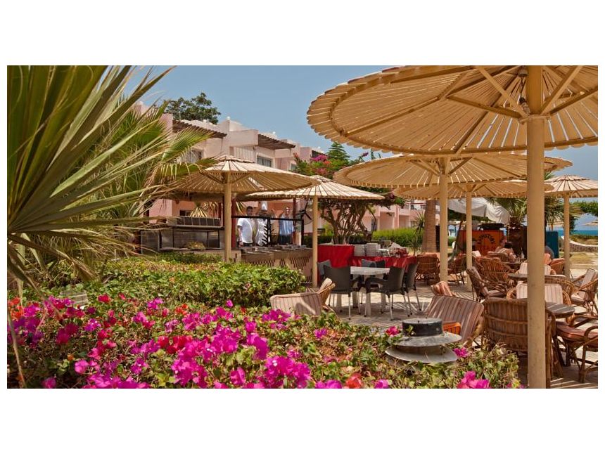 სრული პაკეტი ეგვიპტე  დოლარი