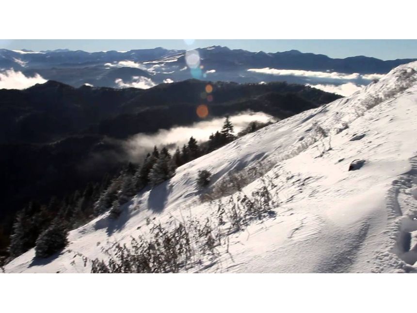 იანვარს ლაშქრობა ლომისაზე დარჩა ადგილი