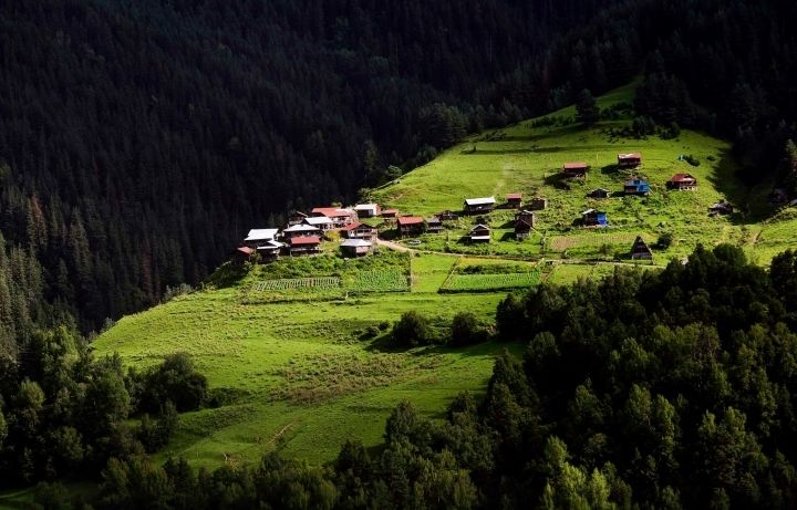 დღე თუშეთში (ჯიპ ტური)