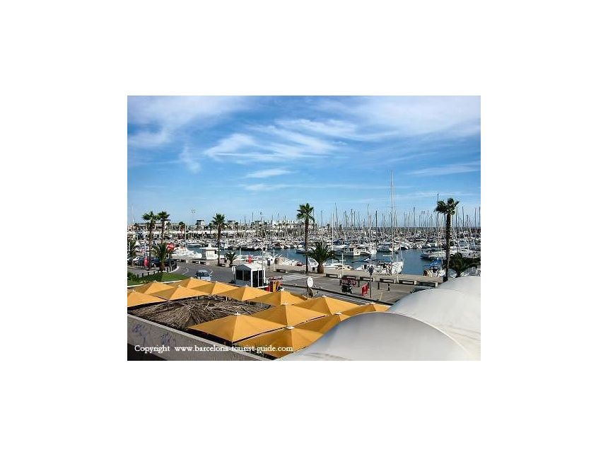 ვალენტინობა ბარსელონაში