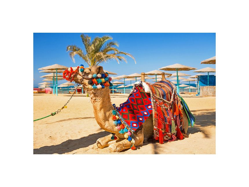 ეგვიპტის ცხელი მზე ადამიანზე