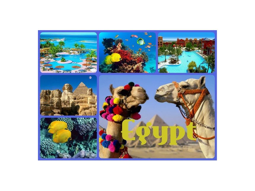 დაისვენე წითელი ზღვის სანაპიროზე 