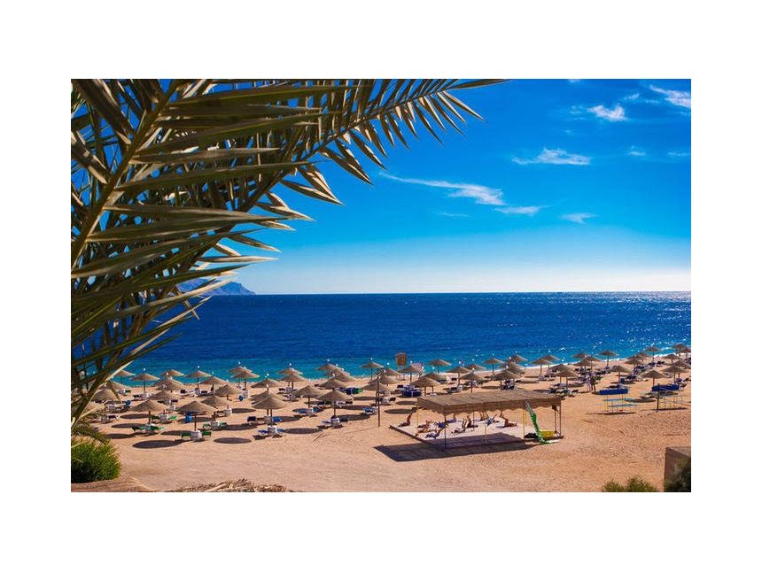 ტური ეგვიპტეში!