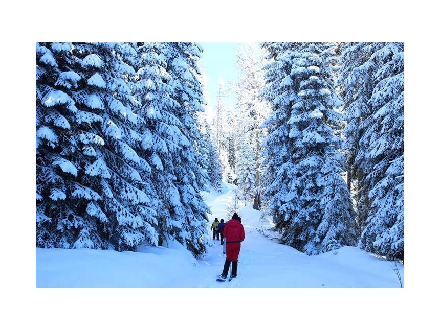 აბასთუმანი - ზარზმა - ჭულევი