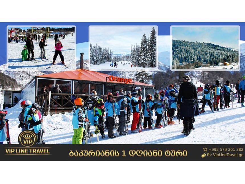 თებერვალს  დღიანი ტური ბაკურიანში