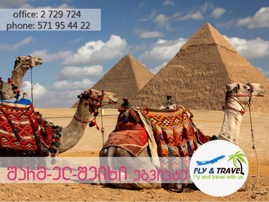 თებერვლის თვე საუკეთესო სეზონია შარმ-ელ-შეიხში დასასვენებლად!!!