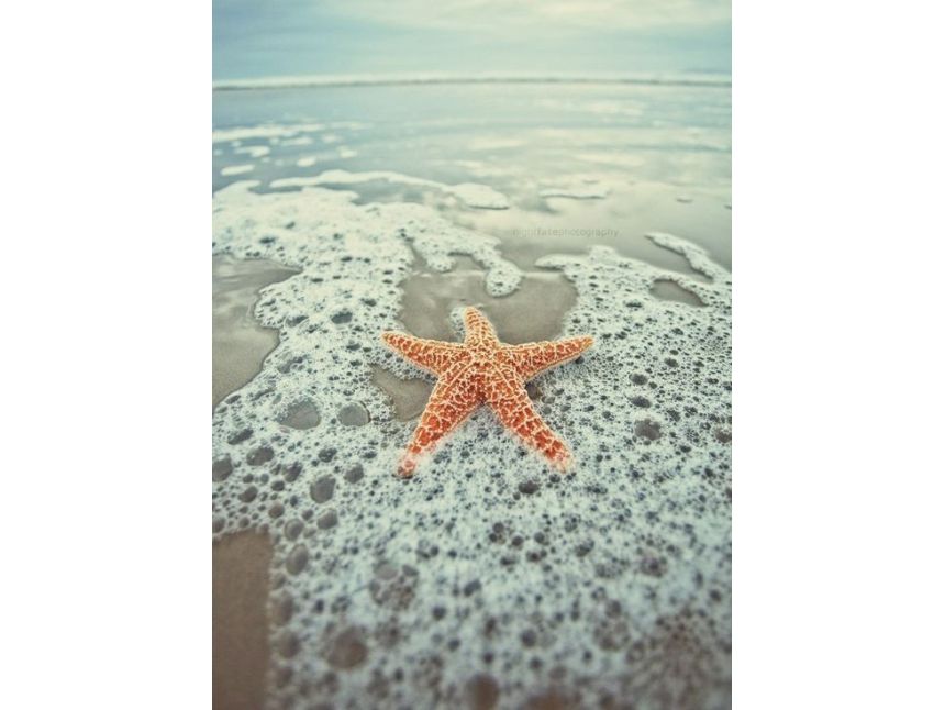 სპეციალური შემოთავაზება !!!