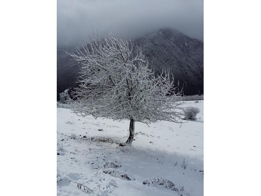 ლამპრობის დღესასწაული  სვანეთში 