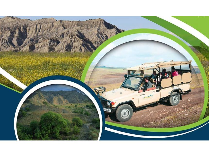 საფარი ტური - ველური ბუნება შენს გარშემო