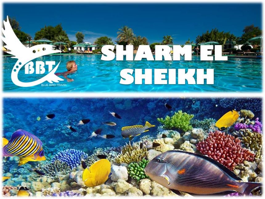 SHARM EL SHEIKH