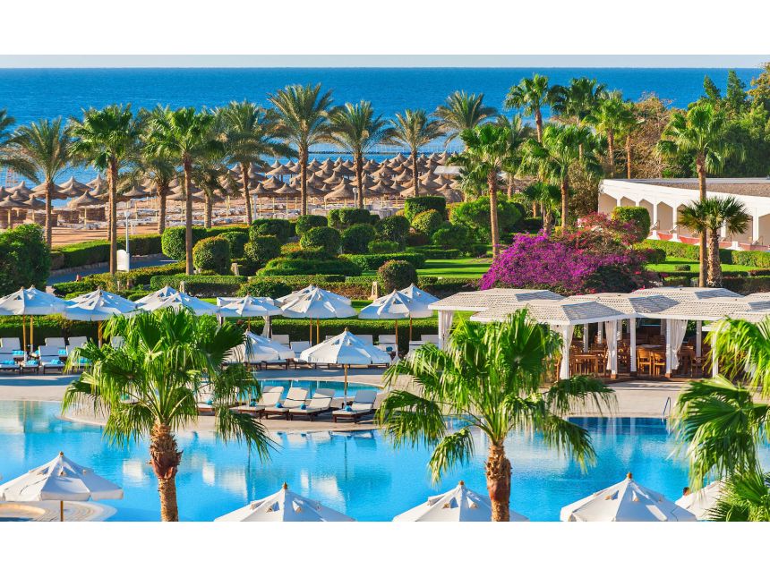 აქციააა * სასტუმრო ეგვიპტე