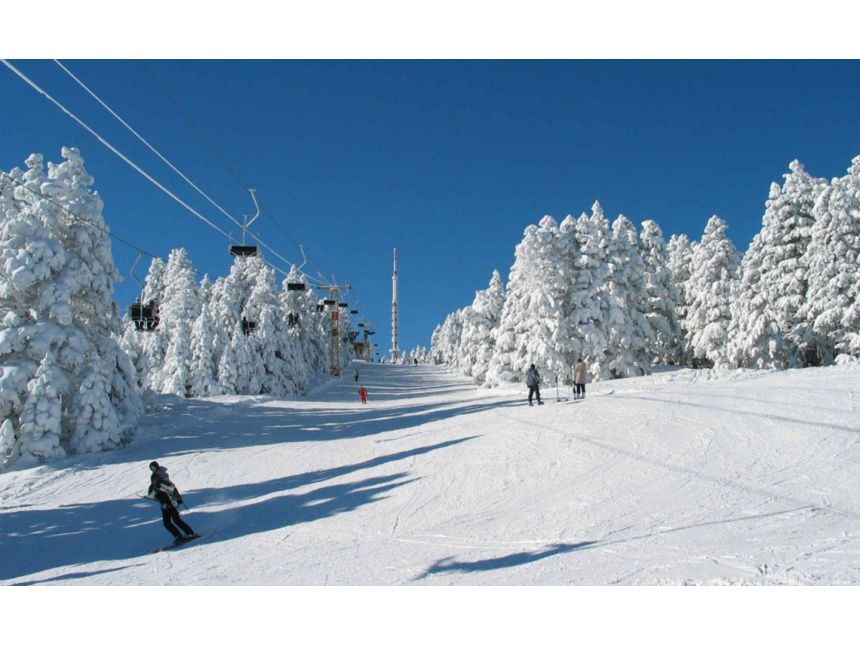 დღე ბაკურიანში სამჯერადი კვებით სენსაციურ ფასად