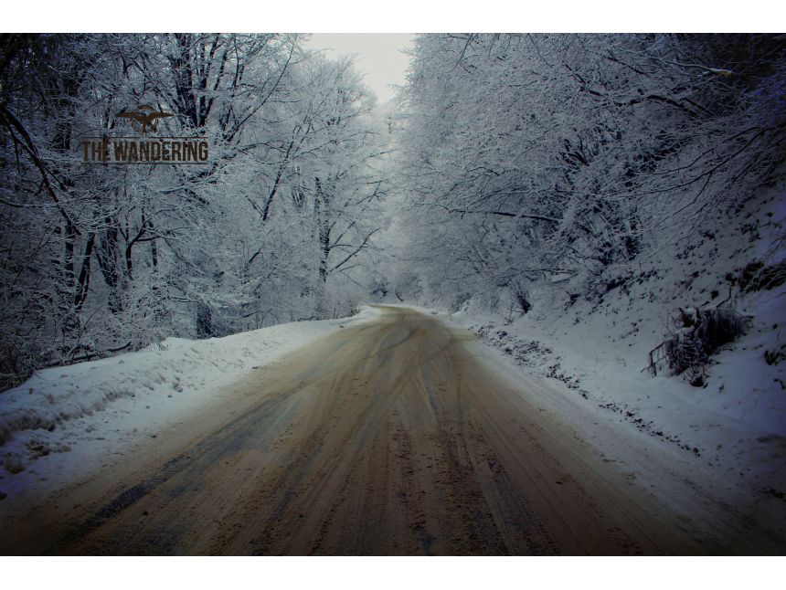 ტური საბადურის ტყეში