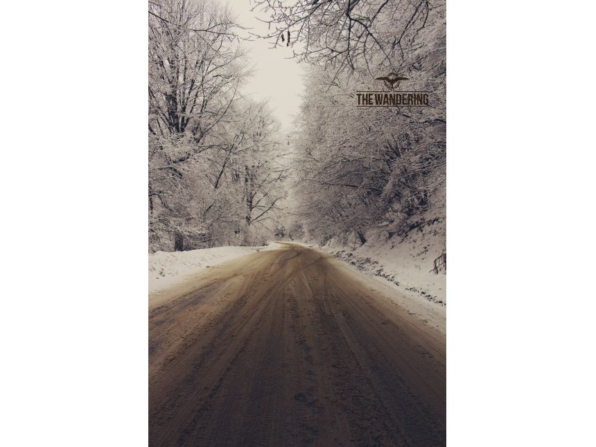 ტური საბადურის ტყეში