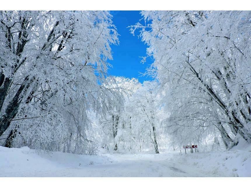 საბადურის ზღაპრული ტყე - სიონის წყალსაცავი !