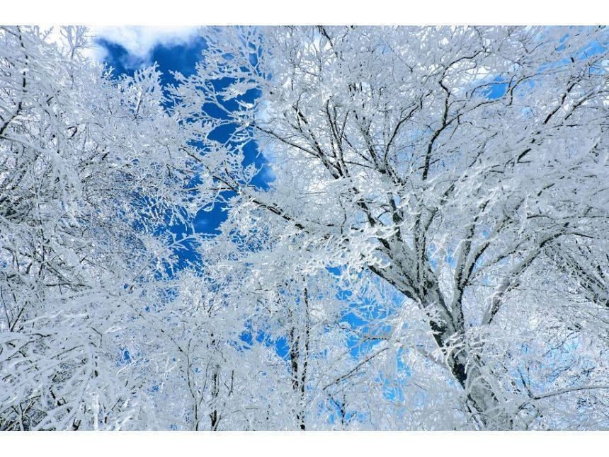 საბადურის ზღაპრული ტყე - სიონის წყალსაცავი !