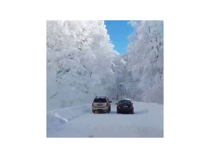 საბადურის ზღაპრული ტყე - სიონის წყალსაცავი !