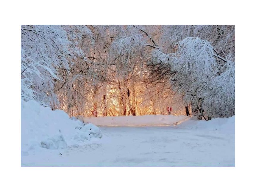 საბადურის ზღაპრული ტყე - სიონის წყალსაცავი !