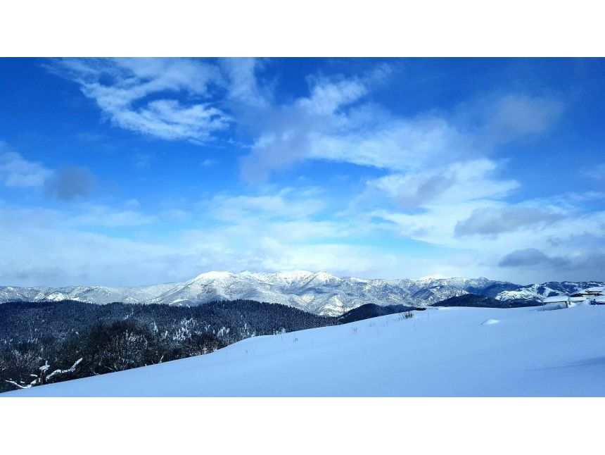 ბაკურიანი თებერვალს კვირას