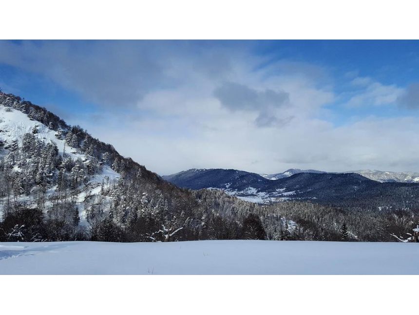 ბაკურიანი  თებერვალს კვირას